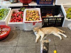 -老炳·七丛松甘草水果