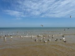 -那香海钻石沙滩浴场