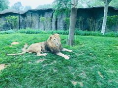 -北京野生动物园