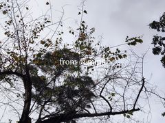 -深圳博物馆(古代艺术馆)