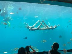 -瑞德姆美人鱼海底演艺主题餐厅(亚龙湾店)