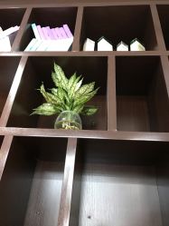 -TOP1染烫特色沙龙