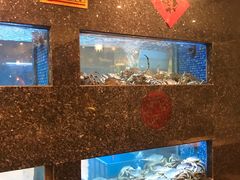 水产区-乾隆美食·本帮菜(黄河路店)