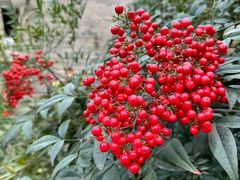 -西安华清御汤酒店