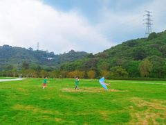 -风云岭森林公园