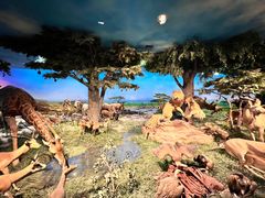 -国家自然博物馆