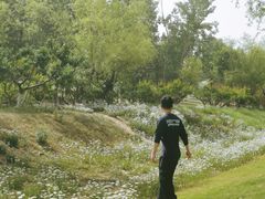 -汉长安城未央宫国家考古遗址公园