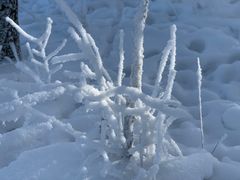-中旅松花湖滑雪场