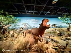 -陕西自然博物馆