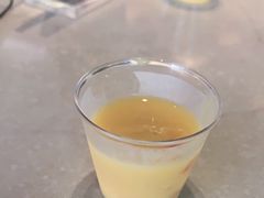 -野萃山·潮汕厚果汁(十亩地店)