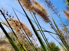 -武清南湖绿博园