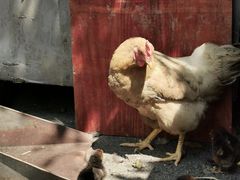 -杭州六谷生态休闲农庄有限公司