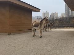 -太原动物园