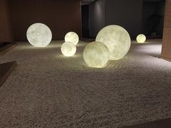 -江滨九号.中餐厅(滨江店)