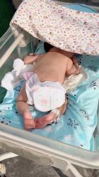 -仕馨母婴成长中心(樱花店)