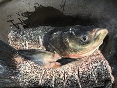 -好灶头妈妈菜·柴火灶台鱼·千岛湖土菜地标美食