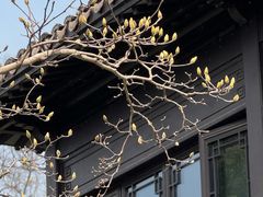 -杭州西湖柳莺里酒店