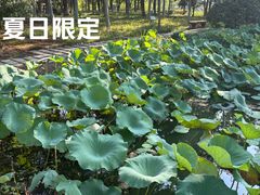 -白塘生态植物园