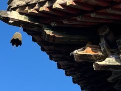 -洛阳白马寺
