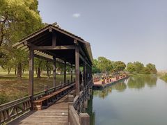 -莲花岛景区