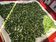 -古徽州馄饨店(宝安路店)