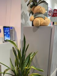 -LJOY丽锦造型·烫发染发