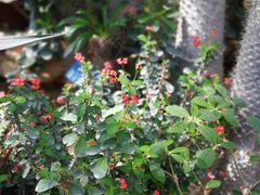 -国家植物园南园