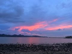 -深圳湾公园(南山区)