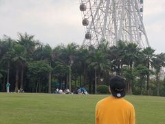 -凤岭儿童公园