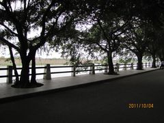 -大湾区中央湿地公园