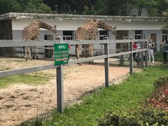 -贵州森林野生动物园