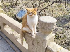 -龙华寺