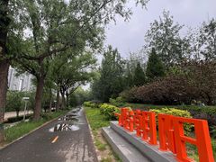 -大望京公园