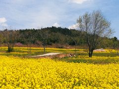 -西海岸生态观光园