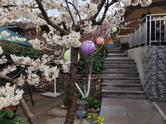 -桃源山庄·水蜜桃采摘·柴火鸡·烧烤团建(龙泉山店)