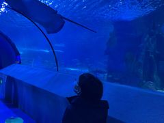 -太平洋海底世界