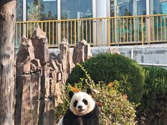 -大连森林动物园