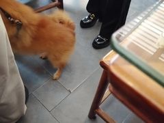 -笑来喜馄饨小笼工坊店(湖滨街店)