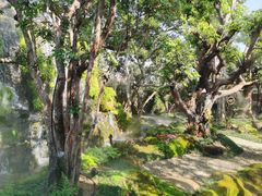 -Chom Cafe and Restaurant