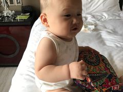 -廊坊固安福朋喜来登酒店
