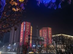 -电谷雅阁国际大酒店