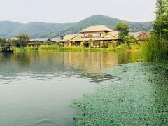 -宝珠奶酪(长宁金虹桥店)