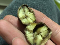 -粒上皇(天丰利市场店)