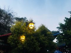 -神光山国家森林公园