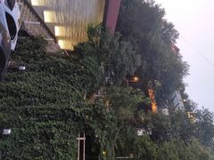 -Local泰莲庭(虹鳟鱼店)