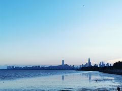 -深圳湾公园(南山区)