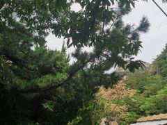 -崂山仰口游览区