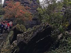 -梭布垭石林景区