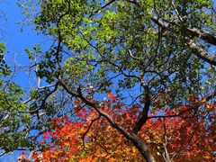 -玉渡山自然风景区