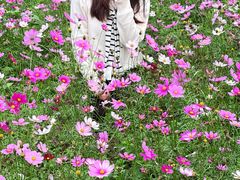 -厦门园林博览苑